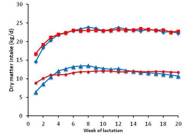 Effects of concentrate allocation strategy on average daily total dry matter intake and average daily concentrate dry matter intake.