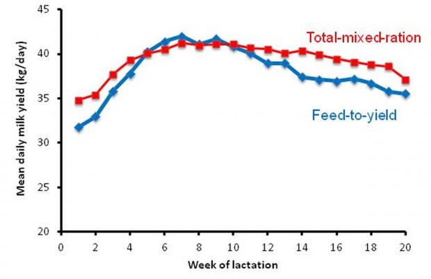 Effects of concentrate allocation strategy on milk yield during the study period.