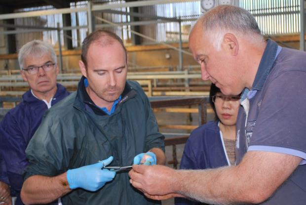 Mark Little and Alistair Thompson demonstrate processing of samples taken using a cytobrush