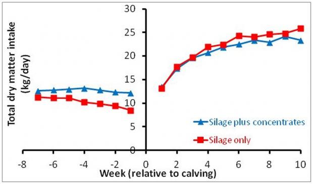 Effects of offering concentrates during the dry period on dry matter intake during the dry period and subsequent lactation