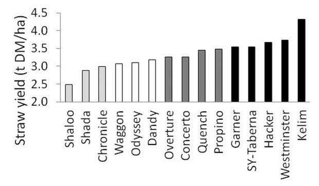 Figure 1. Straw yields for current spring barley varieties (average yield 2009-2013)