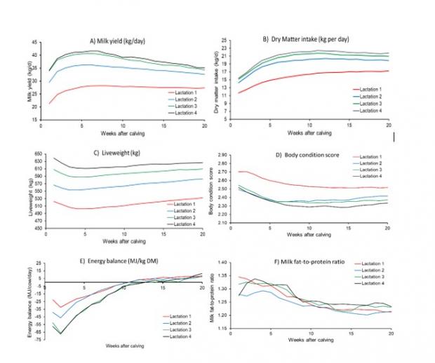 Changes in (A) milk yield, (B) dry matter intake, (C) liveweight, (D) body condition score, (E) energy balance and (F) fat-to-protein ratio of dairy cows during lactations 1, 2, 3 and 4, over the first 20 weeks of lactation.