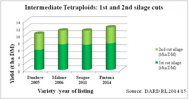 Figure 1: Intermediate Tetraploids: 1st and 2nd silage cuts