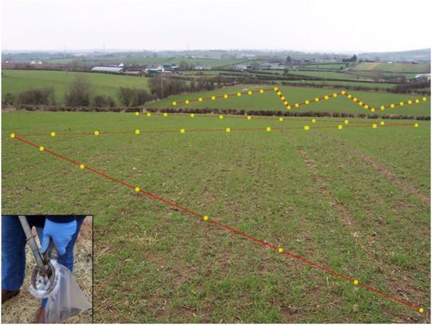 Figure 2: Soil sampling pattern to provide a representative field sample for analysis