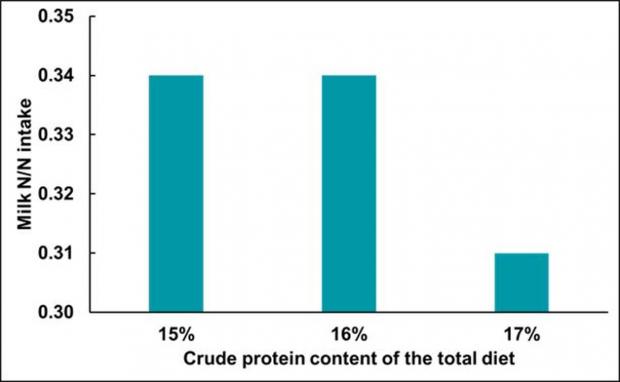 Figure 2: Effect of diet crude protein level on nitrogen-use-efficiency (NUE) 