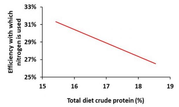 Relationship between total diet crude protein content and the efficiency with which nitrogen is used by dairy cows