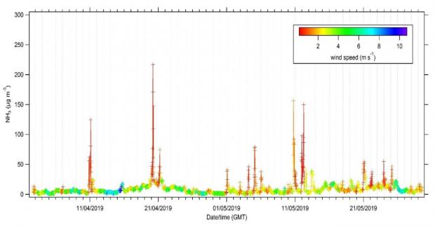 Ammonia concentrations measured at Hillsborough farm coloured by wind speed