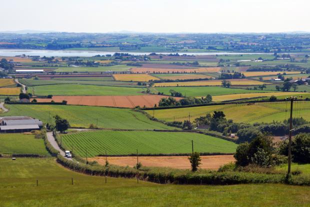 Typical Northern Irish agricultural landscapes have a patchwork of point and diffuse ammonia sources