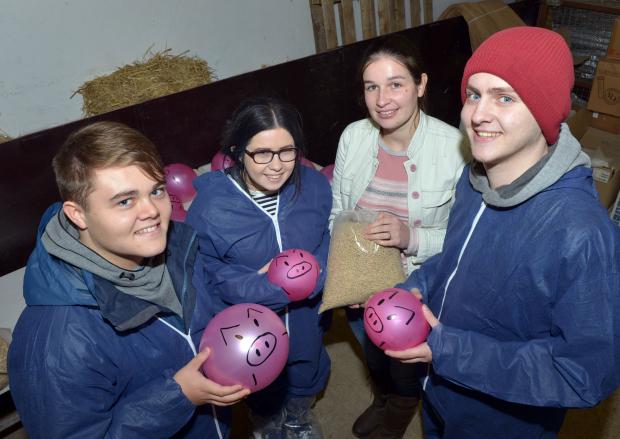 Jack Hanna, Katie Bailey and Michael Clarke (Forthill Integrated College, Lisburn) tour the pig unit at Hillsborough to hear about careers in agricultural research from AFBI’s Aimee Craig