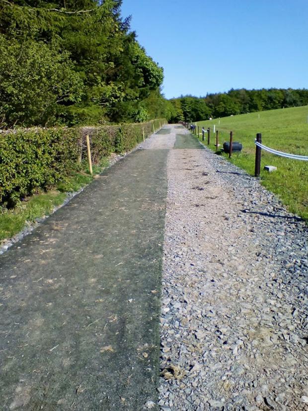 The 25m stretches of artificial grass surface and stone surface used for the preference trial. The internal fencing had already been removed at this point