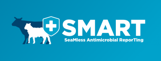 SMART project logo