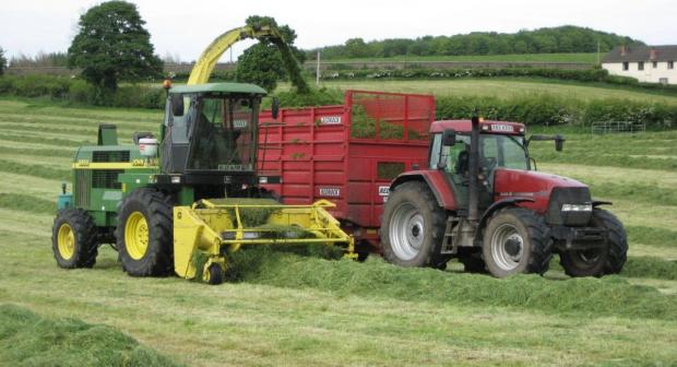 Cutting Silage at AFBI Hillsborough in 2015