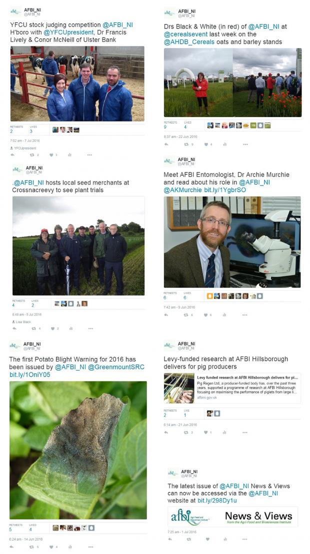 @AFBI_NI tweets