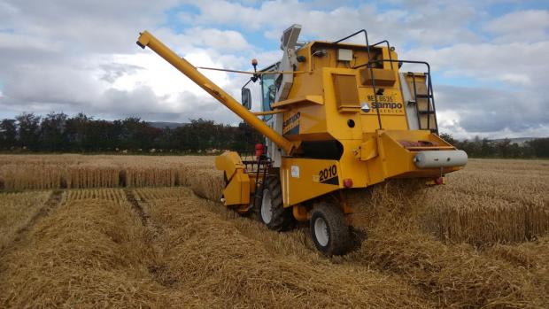 Winter Wheat harvest Limavady 2017