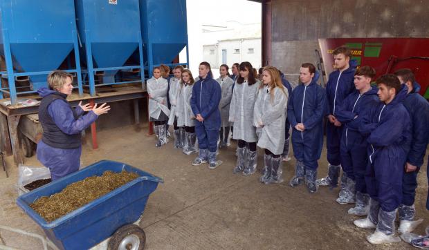 Dr Denise Lowe gives an overview of the beef research unit