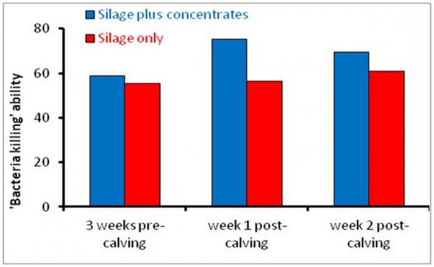 Effects of offering concentrates during the dry period on bacterial killing ability of white blood cells