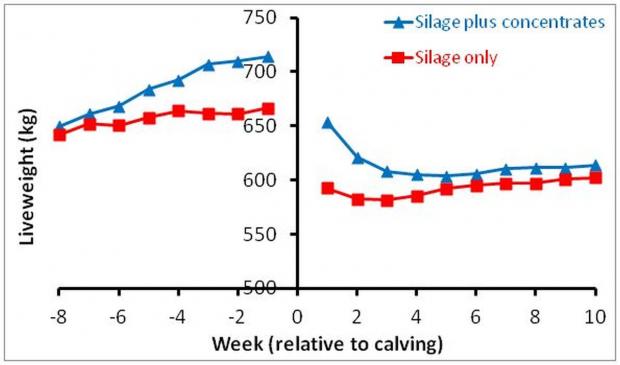 Effects of offering concentrates during the dry period on liveweight changes during the dry period and subsequent lactation