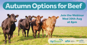 The webinars will look at options that farmers can take this autumn to help mitigate the challenges they are facing
