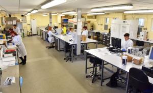 BVD laboratory at AFBI Stormont