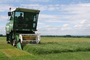 Cutting grass trials at AFBI Loughgall