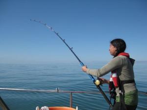 A fine day for recreational sea angling