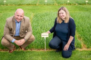 David Linton (Barenbrug Regional Sales Manager NI) and Gillian Young (AFBI Forage Grass Breeder) at the forage grass breeding plots at AFBI, Loughgall.  