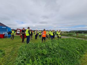 Inspecting the LTS experimental plots at AFBI Hillsborough