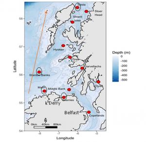 Red dots showing locations of COMPASS acoustic moorings. Black circles indicate where humpback whale song has been detected so far. Arrow depicts direction of migration during the spring months (not actual migration route).