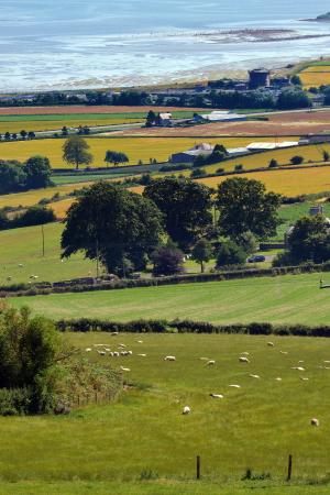 The LUNZ Hub aims to provide all four UK administrations with the rapid evidence they need to develop policies that will drive the UK land transformation required to achieve Net Zero by 2050. 