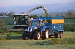 Moving to a ‘multi-cut’ system is a practical way to improve silage quality and cow performance. 
