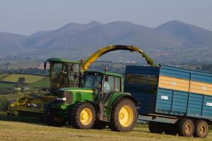 A wide range of factors impact on silage quality on local dairy farms