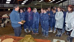 Dr Conrad Ferris explains the value of good quality silage for housed dairy cattle.