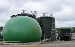 The AD Plant at AFBI Hillsborough
