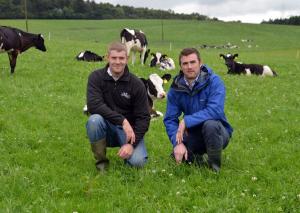 Andrew Brown and Steven Morrison with dairy youngstock at AFBI Hillsborough