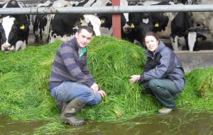 Host farmer Aidan McManus with Dr Debbie McConnell from AFBI discuss plans for the Dairy Innovation in Practice farm walks taking place on 12-14 September.