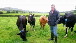 David Hunter with his 80 cow, spring calving herd, near Newtownstewart.