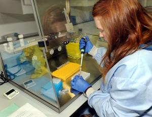 Scientist in the Cattle Health Lab