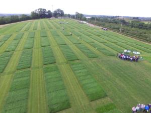 The extensive grass trial area at AFBI Loughgall which was used for More from Grass
