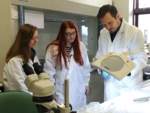 Catherine McGuckin, Julia Wilson and Richard O Hanlon inspect an ash sample for ash dieback