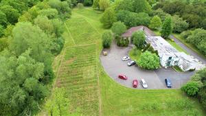 Aerial view of willow planting at AFBI Loughgall