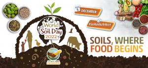 World Soil Day