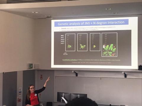 Aibhe Brazel from Maynooth University investigating epigenetic regulation of hypoxia stress