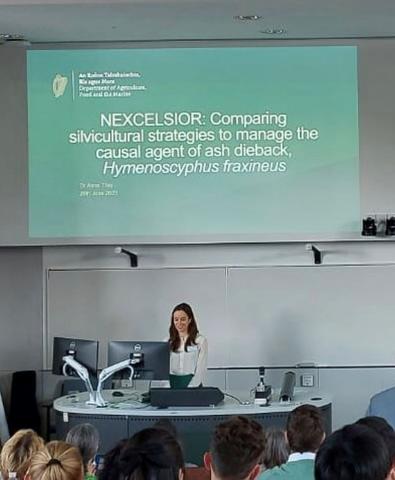 Anna Tiley from DAFM speaking on the NEXCELSIOR project: Comparing silvicultural strategies to manage the causal agent of ash dieback, Hymenoscyphus fraxineus