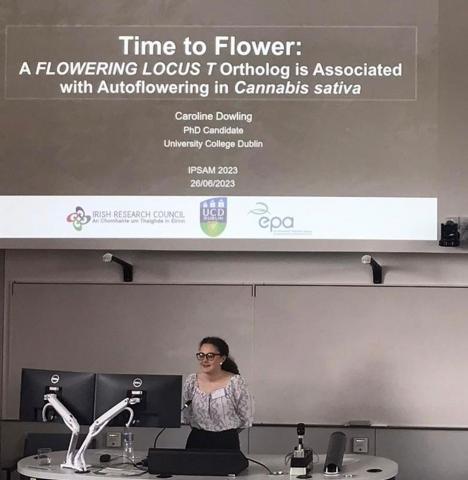 Caroline Dowling from UCD investigating phoperiod insensitivity in hemp