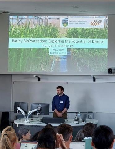 Eogan Curran from UCD investigating the use of endophytes as biocontrols against major crop diseases: Barley bioprotection - Exploring the Potential of Diverse Fungal Endophytes